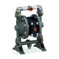 Aro Double Diaphragm Pump, Stainless steel, Air Operated, PTFE, 12 GPM PD05R-ASS-STT-B