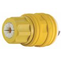 Leviton Watertight Locking Plug 28W74