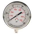 Zoro Select Pressure Gauge, 0 to 1000 psi, 1/4 in MNPT, Stainless Steel, Silver 4CFK6