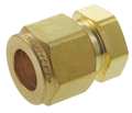 Parker 1/2" Compression Brass Plug 8BLEN8-B