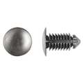 Zoro Select Push-In Rivet, Dome Head, 9 mm Dia., 19.5 mm L, Nylon Body, 50 PK 5643PK