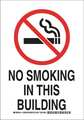 Brady No Smoking Sign, 10" H, 7 in W, Plastic, Rectangle, English, 127999 127999