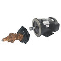 Dayton Rotary Pump, Close, 125psi, Bronze, 3HP 41TK22