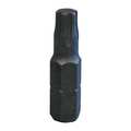 Sk Professional Tools Torsion Bit, SAE, 1/4", Hex, T10, 3/4" 81780