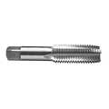 Century Drill & Tool Metric Carbon Steel Tap, 24.0x3.00mm 96332