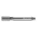 Walter Pipe Tap, 1/8"-28, Plug, 3 Flutes, BSPP 243612-RP1/8