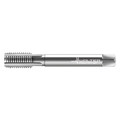 Walter Pipe Tap, 1/2"-14, Plug, 4 Flutes, G 24361-G1/2