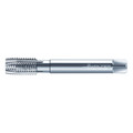 Walter Pipe Tap, 5/8"-14, Taper, 4 Flutes, G P24360-G5/8