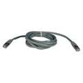 Tripp Lite Cat5e Cable, Molded, Shielded, Gray, 10ft N105-010-GY