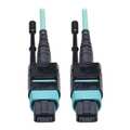 Tripp Lite MTP/MPO Cable, 12 Fiber, 40GbE, OM3, 10m N844-10M-12-P