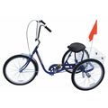 Zoro Select Bicycle, 250 lb Cap., Blue, 24" dia Wheel IBIKE-3-DC-B