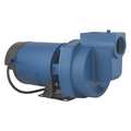 Flint & Walling Sprinkler Pump, Thermo Plastic, 1-1/2 HP SP15P1