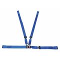 Dick Medical Supply Strap, Blue, 7 ft. L x 2-1/2" W x 3" H 11170 BL