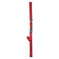 Dick Medical Supply Strap, Red, 5 ft. L x 2-1/2" W x 3" H 11153 RD