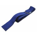 Dick Medical Supply Strap, Blue, 5 ft. L x 2-1/2" W x 3" H 250151 BL