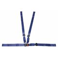 Dick Medical Supply Strap, Blue, 7 ft. L x 2-1/2" W x 3" H 31170 BLC