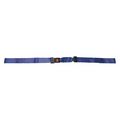 Dick Medical Supply Strap, Blue, 7 ft. L x 2-1/2" W x 3" H 31173 BL