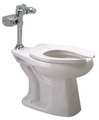 Zurn Bedpan Flush Valve Toilet, 1.28 gpf, Flush Valve, Floor Mount, Elongated, White Z5666.243.00.00.00