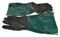 Westward Gloves, Pair TT10Z916GLG