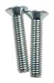 Speedaire Screws, PK2 TTRL41006G