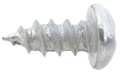 Speedaire Screw, PK2 TT13014G