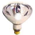 Satco Reflector Lamp, R40 Bulb Shape, 300 lm S4750