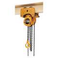 Harrington Hoist/Trolley, 500lb, 10ft Lift NTH003-10