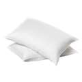 Basics Pillow, 30 in. L, Queen, 25 oz., PK10 5013811