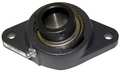 Timken Flange Bearing, 2-Bolt, Ball, 1-3/8" Bore RCJT 1 3/8