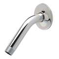 Zurn Shower Arm 1/2", Polished Chrome Z7000-A1