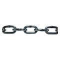 Pewag Chain, 10 ft L, Trade Size 3/8 in., 304L SS 4517/10