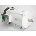 Leeson Washdown Motor, 7-1/2 HP, 3-Phase Design 140819.00