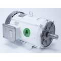 Leeson Washdown Motor, 10 HP, 215TC Frame, 60 Hz 140821.00