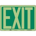 Condor Exit Sign, English, 14" W, 10" H, Plastic, Green, White 480L51