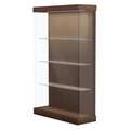 Waddell Display Floor Display Case, Walnut, 48"LX15"D VANT48RWH