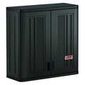 Suncast Wall Storage Cabinet, 30 in W x 12 in D x 30-1/4 in H, Resin, 1 Shelf BMCCPD3000