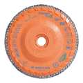 Walter Surface Technologies Flap Disc, Medium, Grit 60, Type 29 06F456