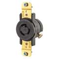 Zoro Select 15A Locking Receptacle 2P 3W 277VAC L7-15R BN 4760
