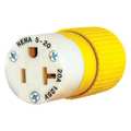 Zoro Select Blade Connector, Yellow/White, 20A, Marine BRY5369NCSY