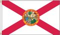 Nylglo Florida Flag, 5x8 Ft, Nylon 140980