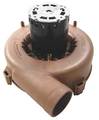 Packard Draft Inducer, 115V, Metal, 7 in H. 66404