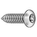 Tamper-Pruf Screws 1-1/4 in Torx Button Tamper Resistant Screw, 18-8 Stainless Steel, Plain Finish, 25 PK 91370