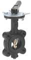 Milwaukee Valve Butterfly Valve, Lug Style, Pipe Size 2 In ML-233E 2