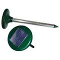 Bird-X Solar Powered Electronic Mole Chaser TX-MOLE