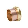 Streamline 1-1/2" C x SJ Cast Brass Trap Adapter A 11356