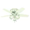 Hunter Decorative Ceiling Fan, Low Pro, 42" Blade Dia., 1 Phase, 120 51090