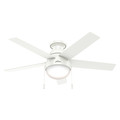 Hunter Decorative Ceiling Fan, Low Pro, 46" Blade Dia., 1 Phase, 120 59269