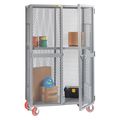 Little Giant Mobile Storage Locker, 30x60, Adj Shelf SL1A-3060-6PYFL