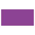 Tape Logic Tape Logic® Inventory Rectangle Labels, 2" x 4", Purple, 500/Roll DL636M