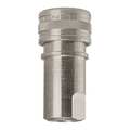 Foster SS303 Socket, 1/2"x1/2" FPT H4S/S
